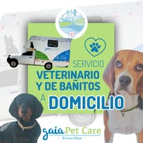 Perrito feliz con lentes en Gaia Pet Care