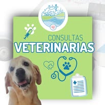 Unidad móvil Gaia Pet Care