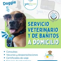 Perrito con lentes rojos