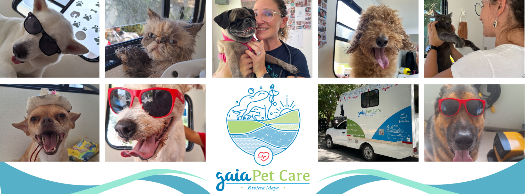 Gaia Pet Care logo