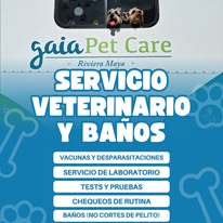 Servicio veterinario y bañitos Gaia Pet Care